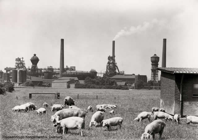 Abb. 2: Werksansicht um 1960, Quelle: ThyssenKrupp Konzernarchiv Duisburg
